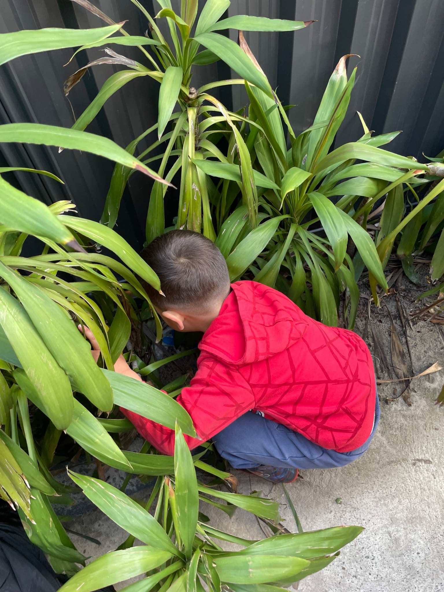 Kids Haven children became eco-heroes on World Environment Day